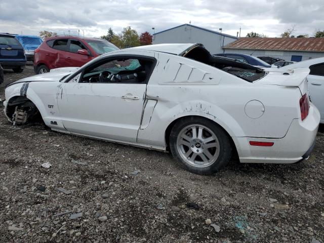 Photo 1 VIN: 1ZVHT82H785135676 - FORD MUSTANG 