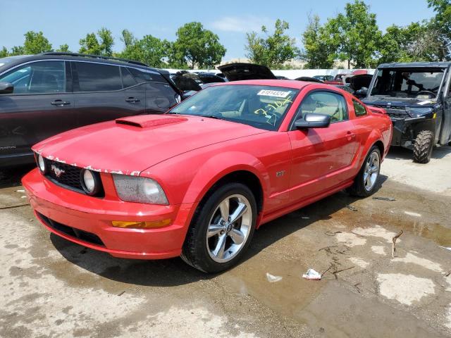 Photo 0 VIN: 1ZVHT82H875329079 - FORD MUSTANG GT 