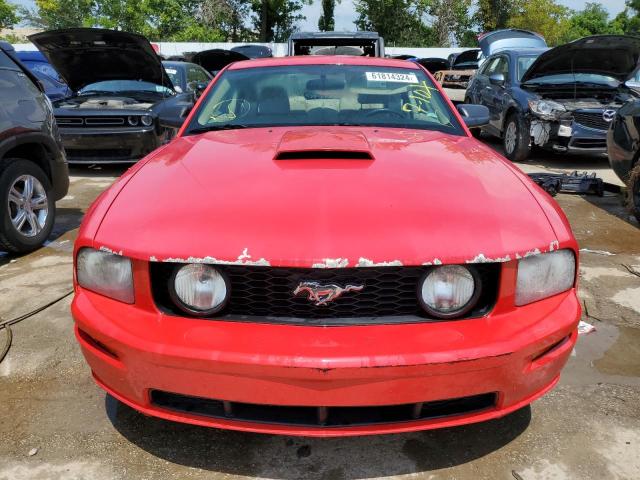 Photo 4 VIN: 1ZVHT82H875329079 - FORD MUSTANG GT 