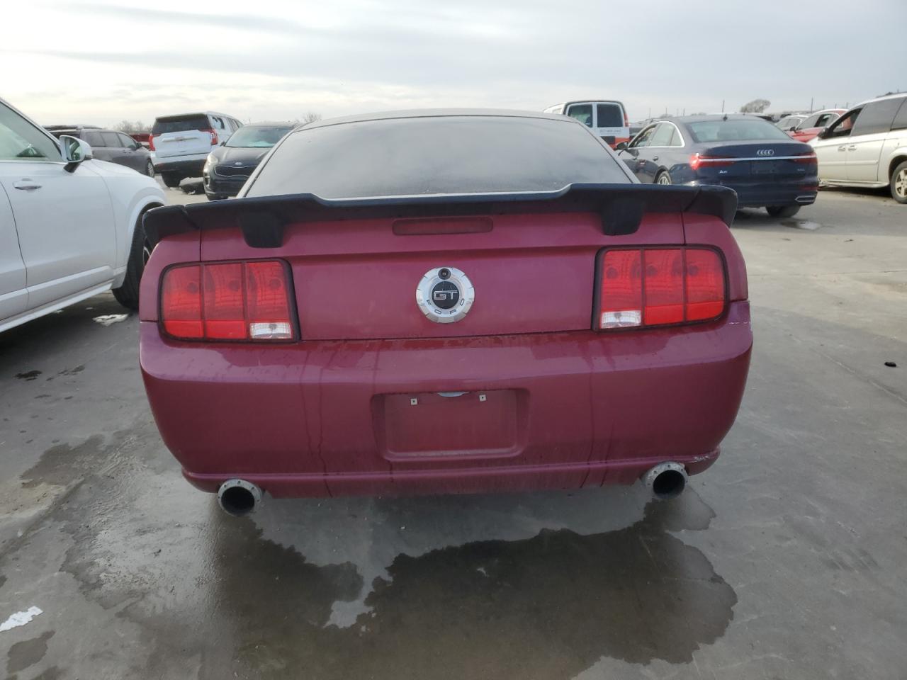 Photo 5 VIN: 1ZVHT82H885199449 - FORD MUSTANG 