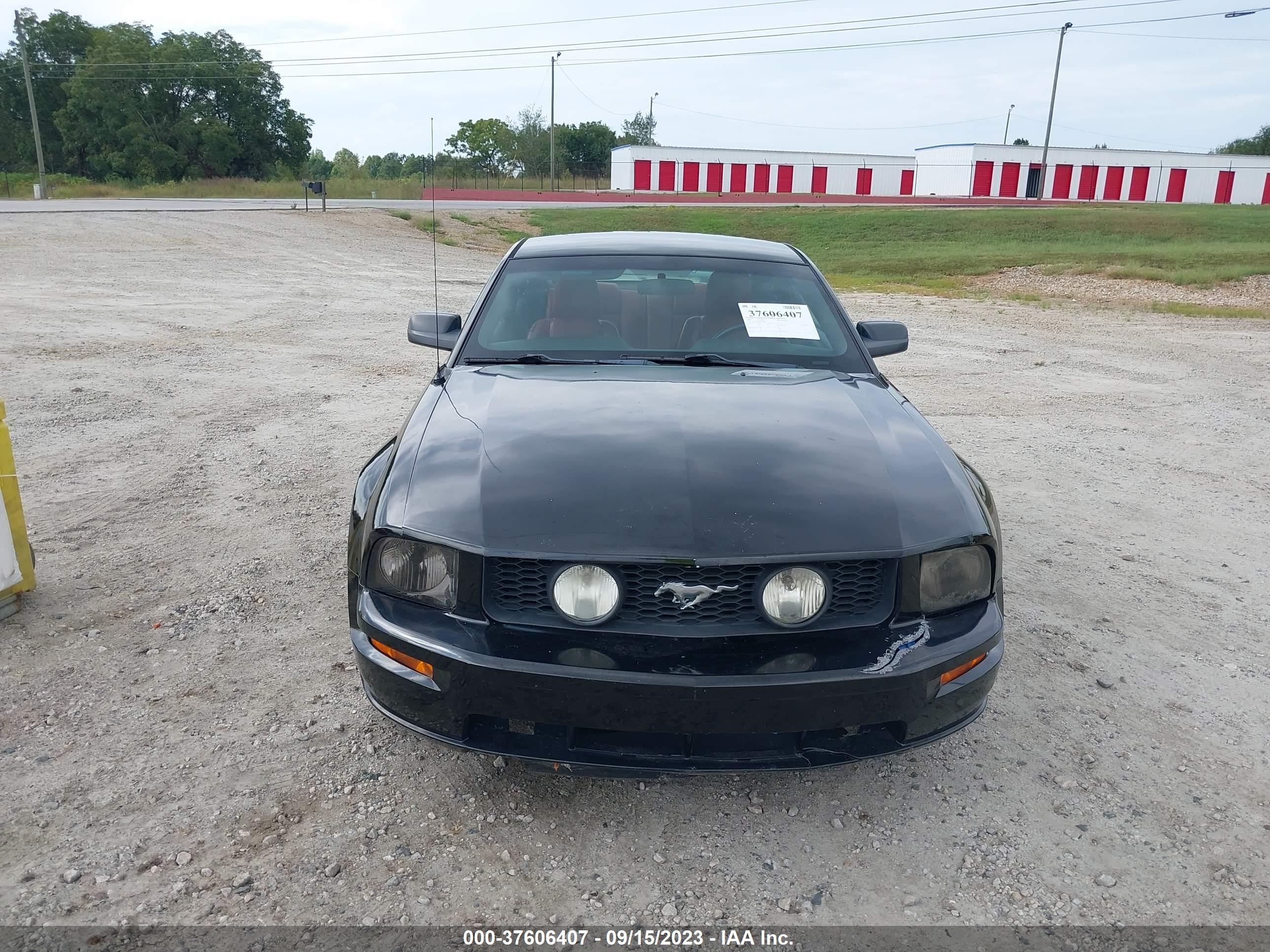 Photo 5 VIN: 1ZVHT82H965214408 - FORD MUSTANG 