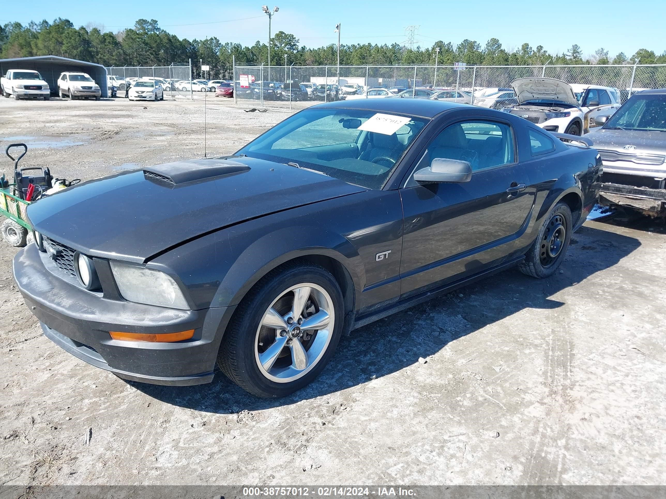 Photo 1 VIN: 1ZVHT82H985190629 - FORD MUSTANG 