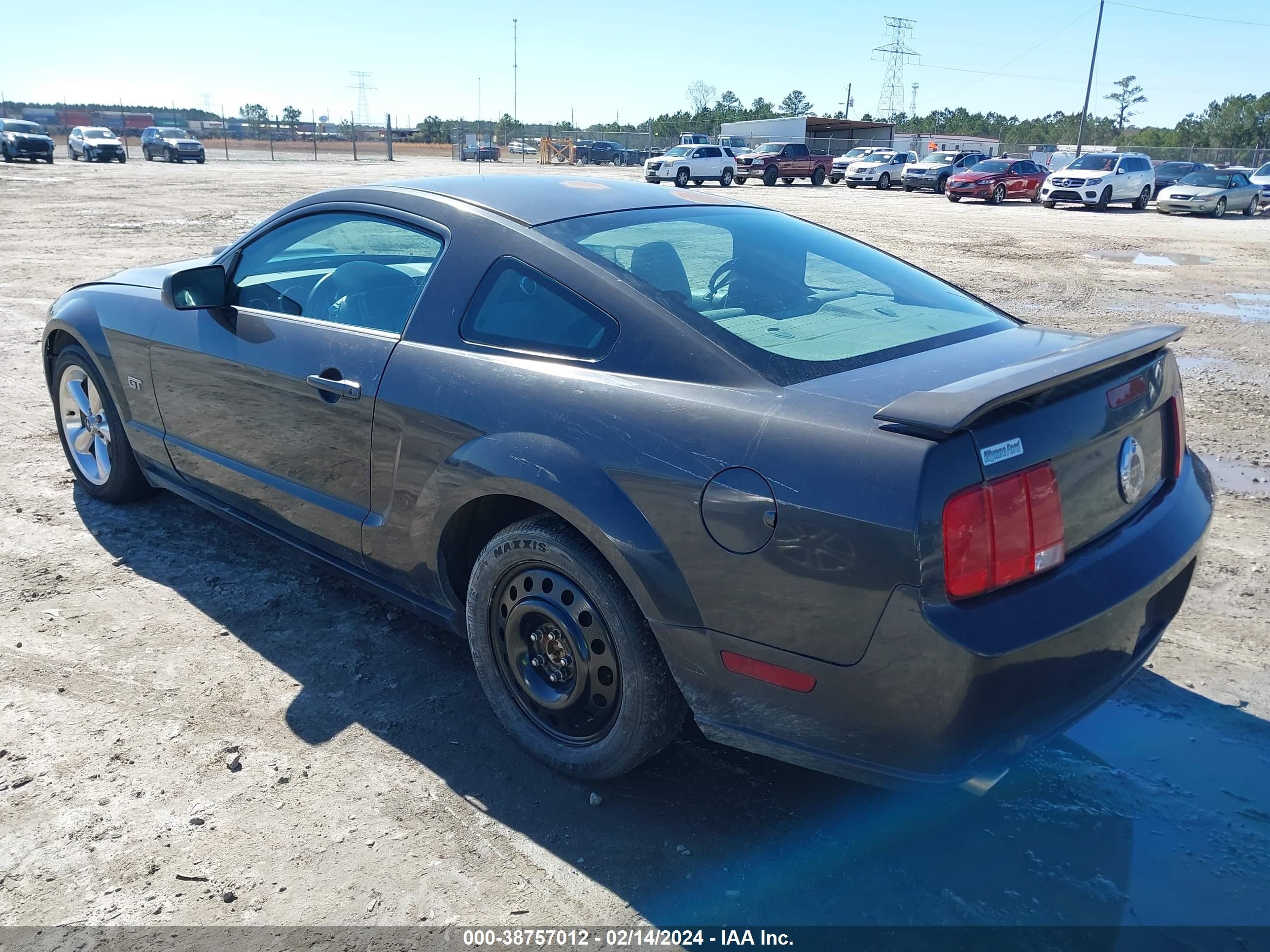 Photo 2 VIN: 1ZVHT82H985190629 - FORD MUSTANG 