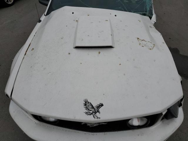 Photo 10 VIN: 1ZVHT82HX75223670 - FORD MUSTANG 