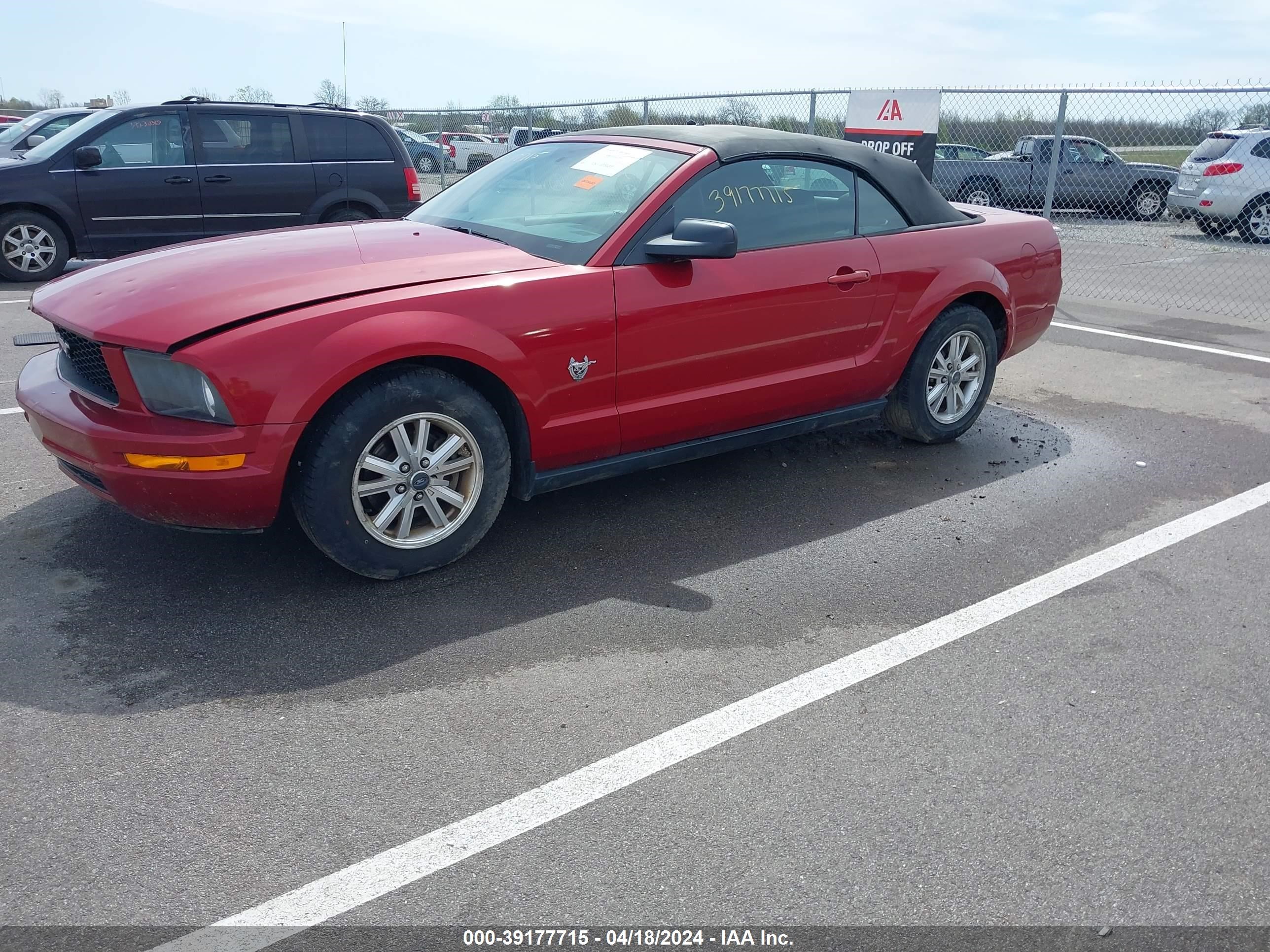 Photo 1 VIN: 1ZVHT84N095125639 - FORD MUSTANG 