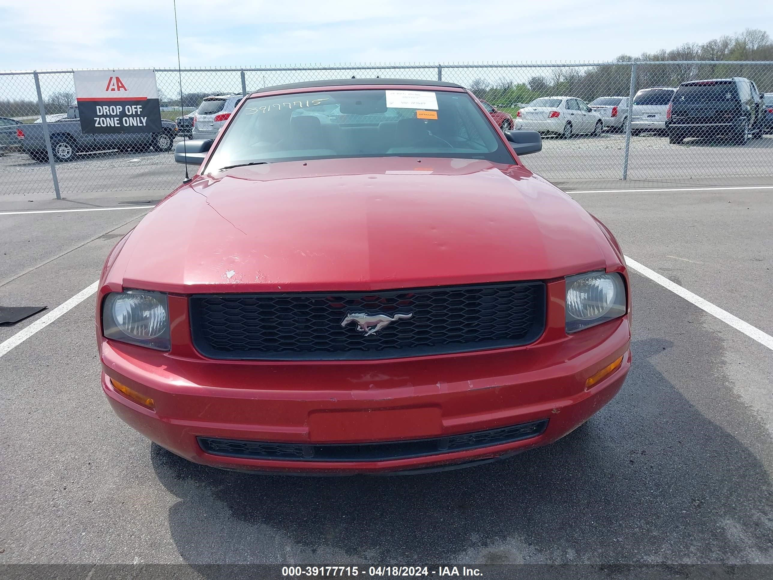 Photo 12 VIN: 1ZVHT84N095125639 - FORD MUSTANG 