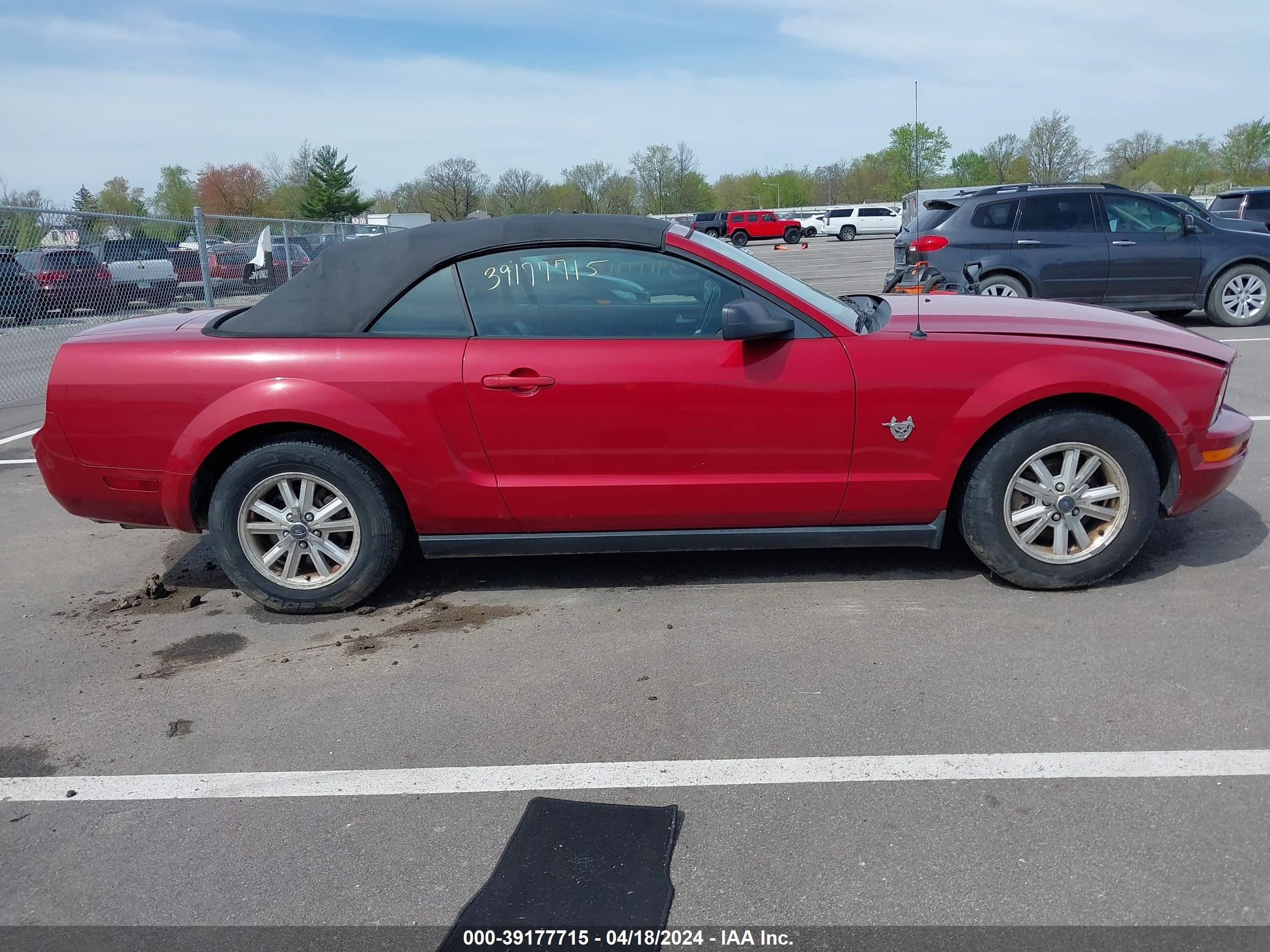 Photo 13 VIN: 1ZVHT84N095125639 - FORD MUSTANG 