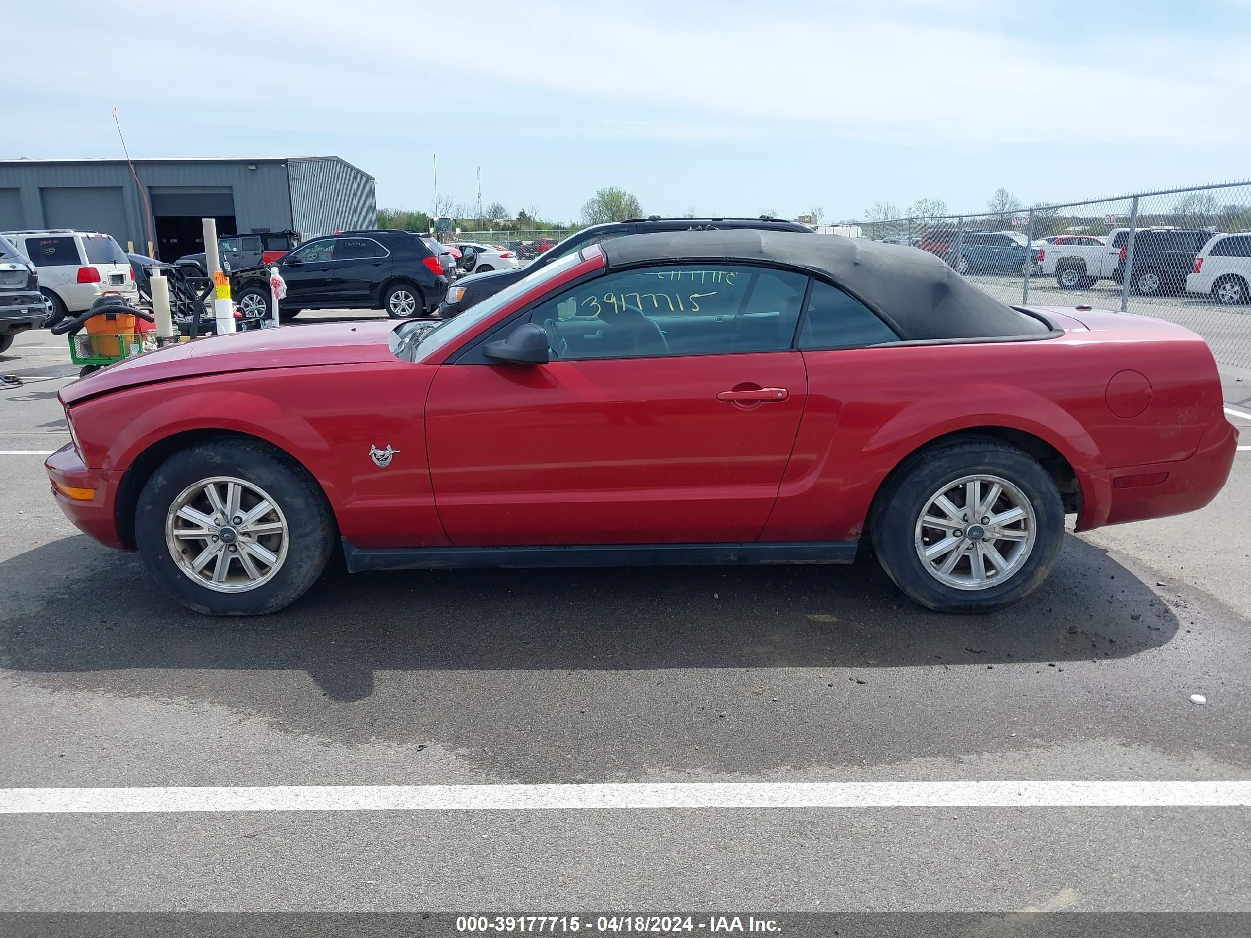 Photo 14 VIN: 1ZVHT84N095125639 - FORD MUSTANG 