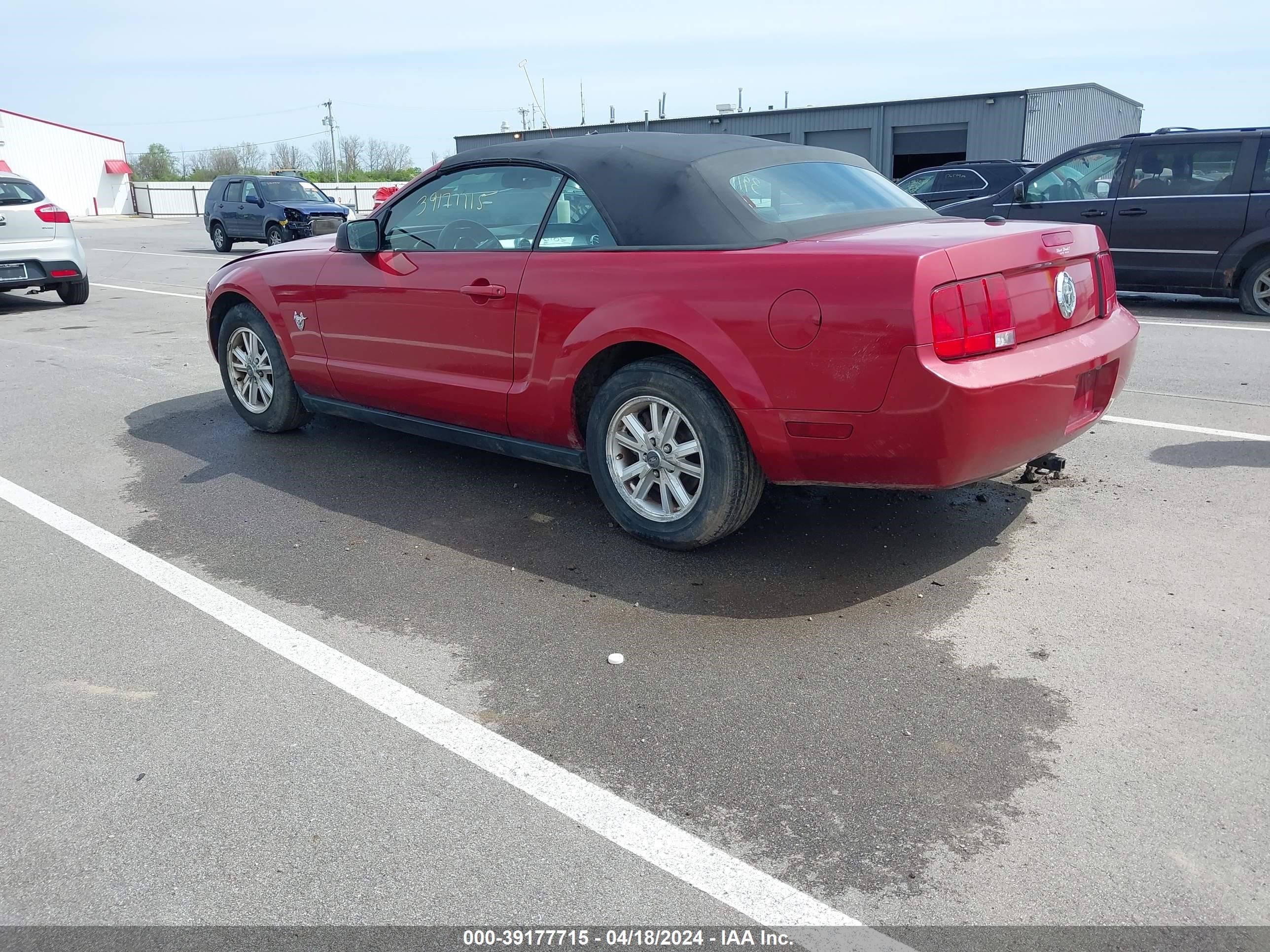 Photo 2 VIN: 1ZVHT84N095125639 - FORD MUSTANG 