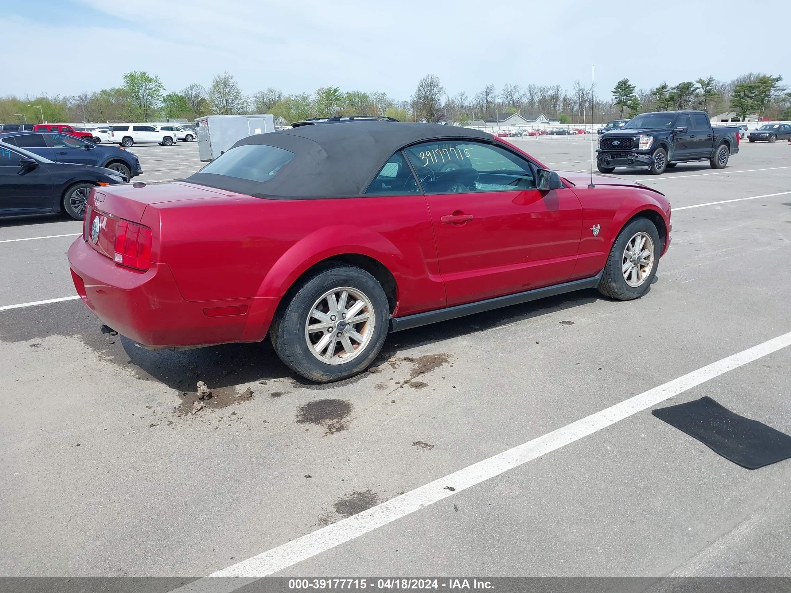 Photo 3 VIN: 1ZVHT84N095125639 - FORD MUSTANG 