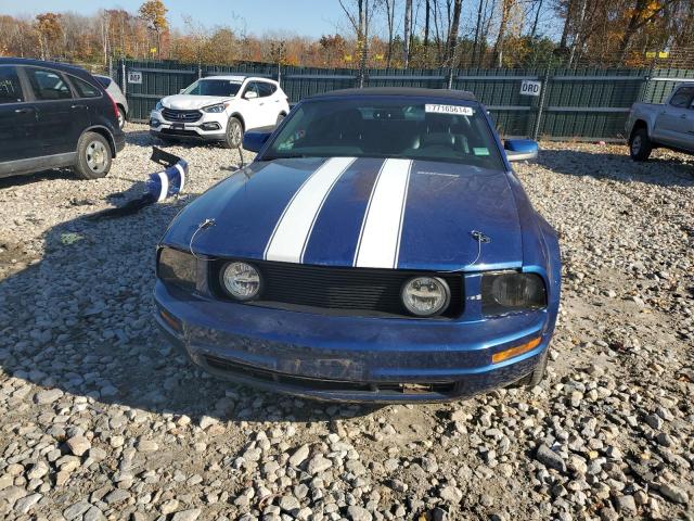 Photo 4 VIN: 1ZVHT84N165148262 - FORD MUSTANG 