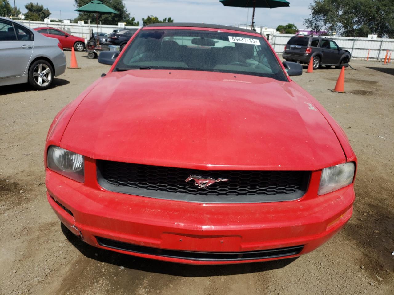 Photo 4 VIN: 1ZVHT84N195104265 - FORD MUSTANG 