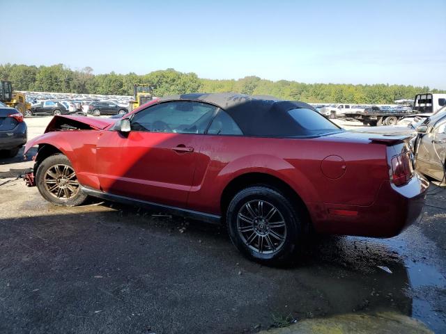 Photo 1 VIN: 1ZVHT84N285202395 - FORD MUSTANG 