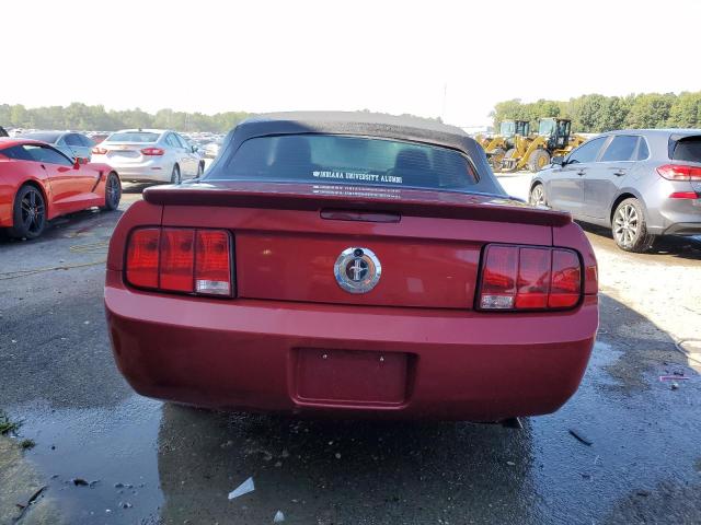 Photo 5 VIN: 1ZVHT84N285202395 - FORD MUSTANG 