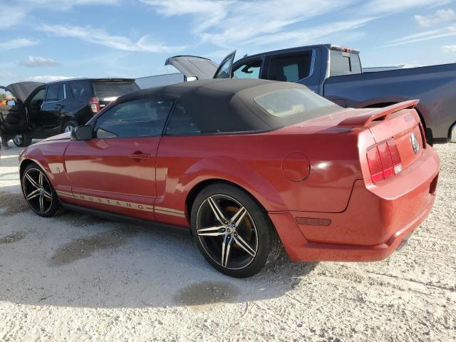 Photo 1 VIN: 1ZVHT84N365128336 - FORD MUSTANG 