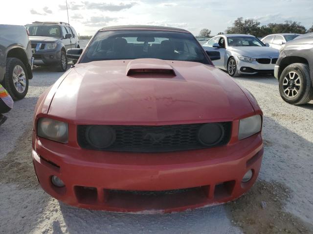 Photo 4 VIN: 1ZVHT84N365128336 - FORD MUSTANG 