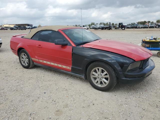 Photo 3 VIN: 1ZVHT84N385201448 - FORD MUSTANG 