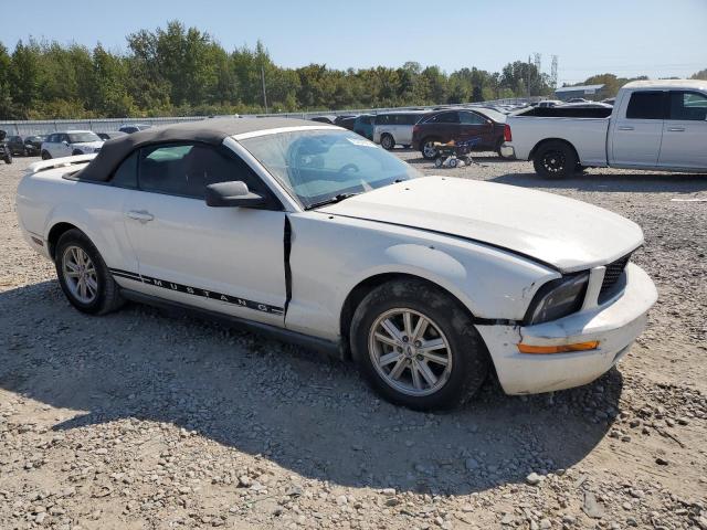 Photo 3 VIN: 1ZVHT84N455240142 - FORD MUSTANG 