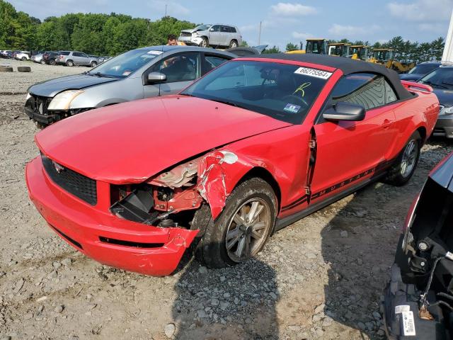 Photo 0 VIN: 1ZVHT84N465201651 - FORD MUSTANG 