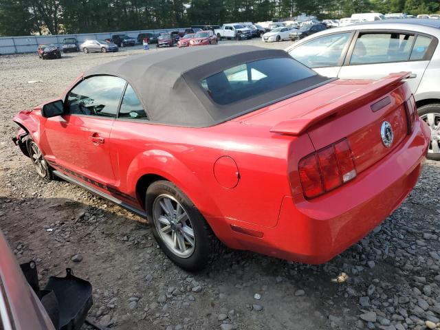 Photo 1 VIN: 1ZVHT84N465201651 - FORD MUSTANG 