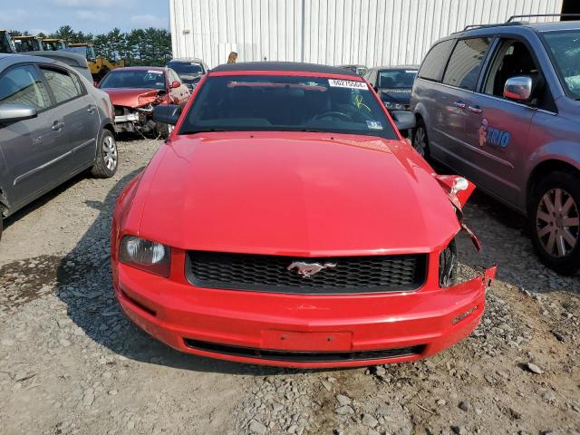 Photo 4 VIN: 1ZVHT84N465201651 - FORD MUSTANG 