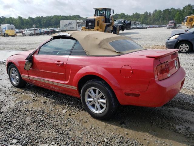 Photo 1 VIN: 1ZVHT84N685153363 - FORD MUSTANG 