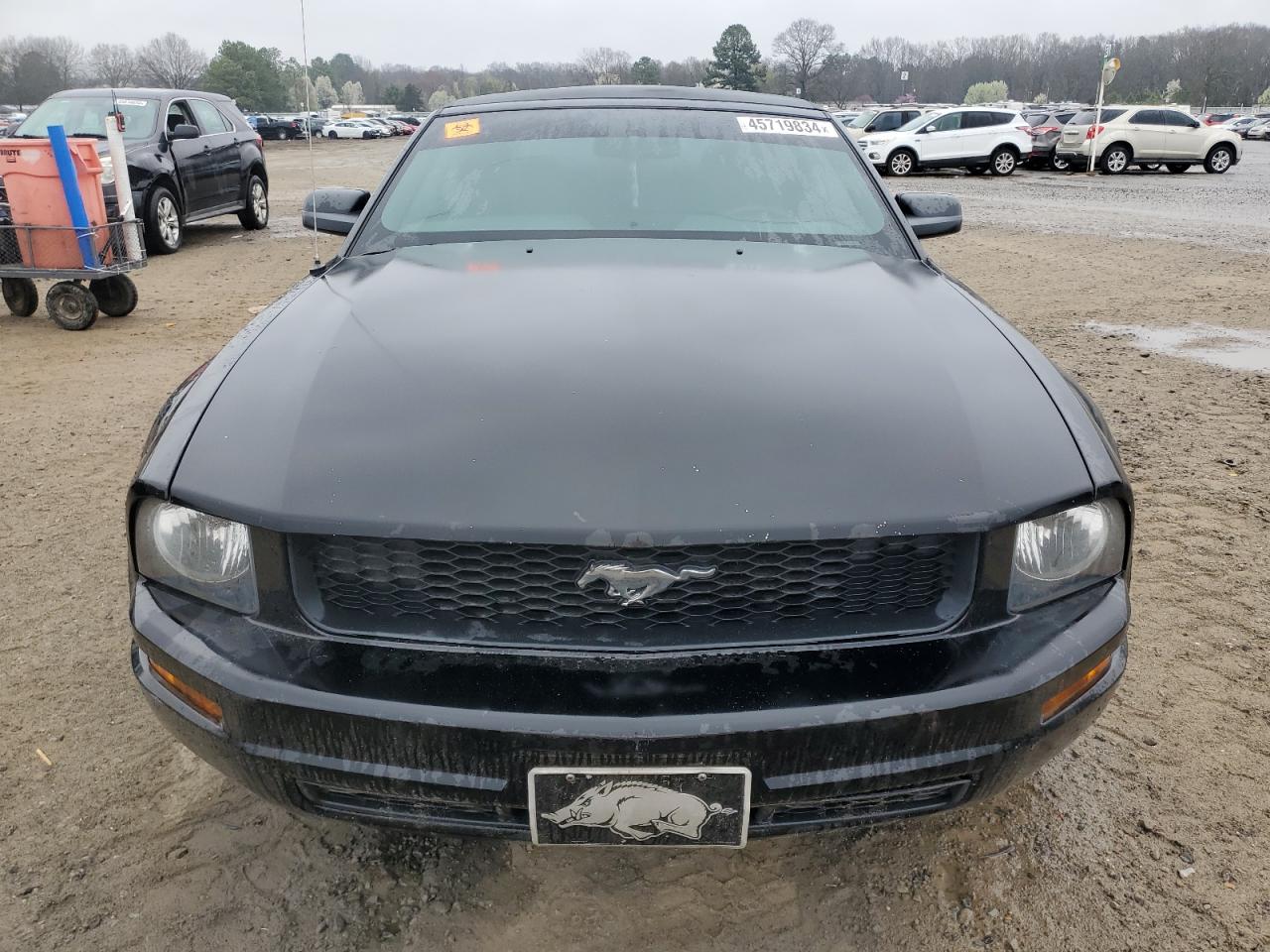 Photo 4 VIN: 1ZVHT84N695137052 - FORD MUSTANG 