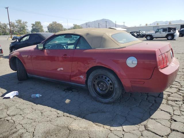 Photo 1 VIN: 1ZVHT84N785120713 - FORD MUSTANG 