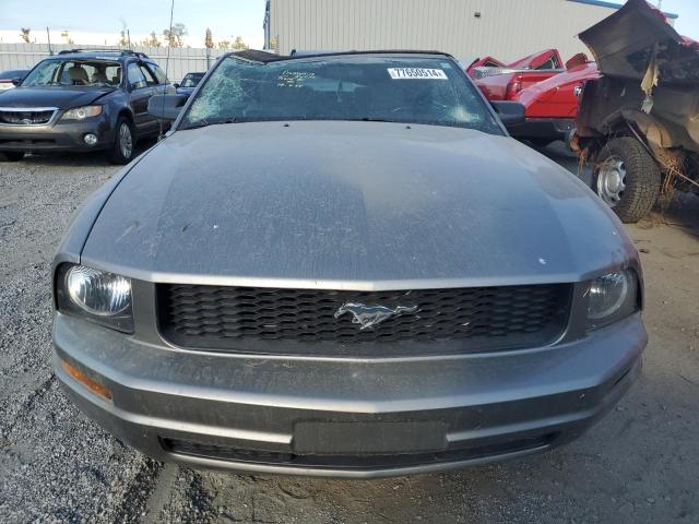 Photo 4 VIN: 1ZVHT84N785155381 - FORD MUSTANG 