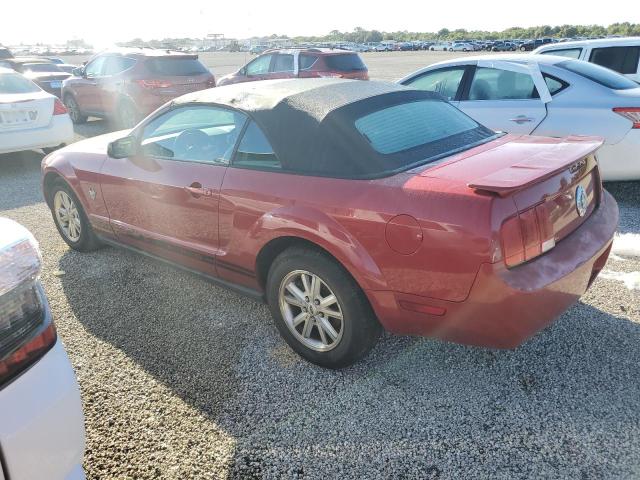 Photo 1 VIN: 1ZVHT84N795115769 - FORD MUSTANG 