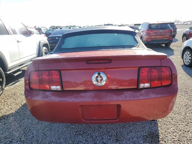 Photo 5 VIN: 1ZVHT84N795115769 - FORD MUSTANG 