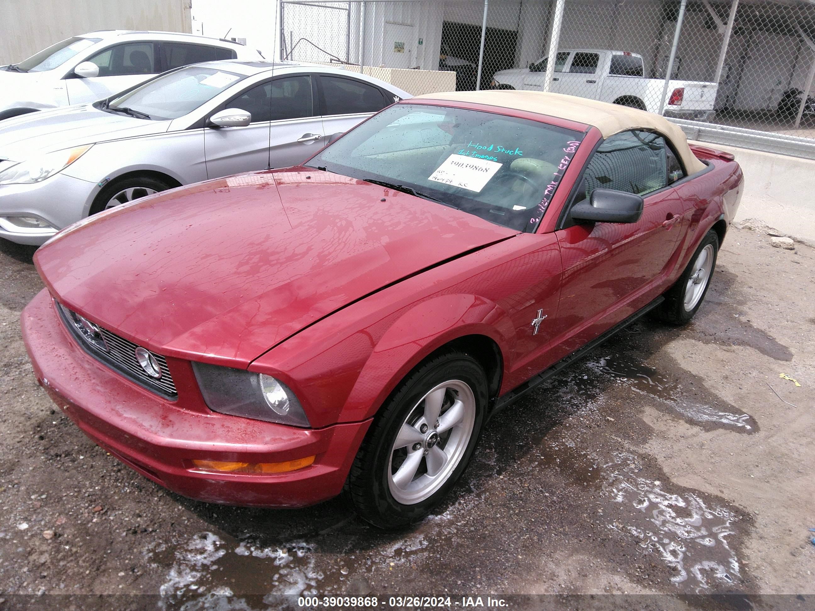 Photo 1 VIN: 1ZVHT84N885125385 - FORD MUSTANG 