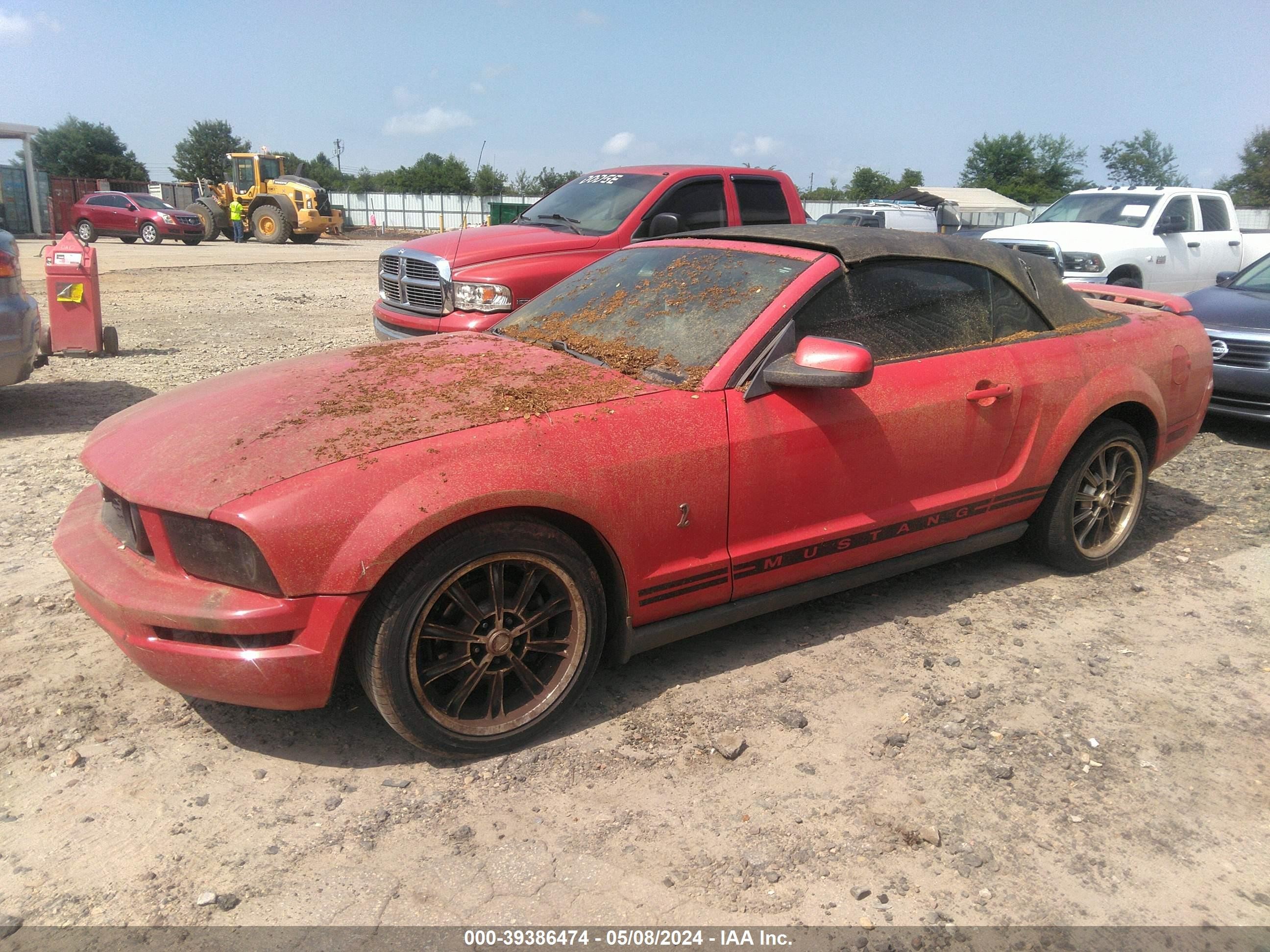 Photo 1 VIN: 1ZVHT84N955183484 - FORD MUSTANG 