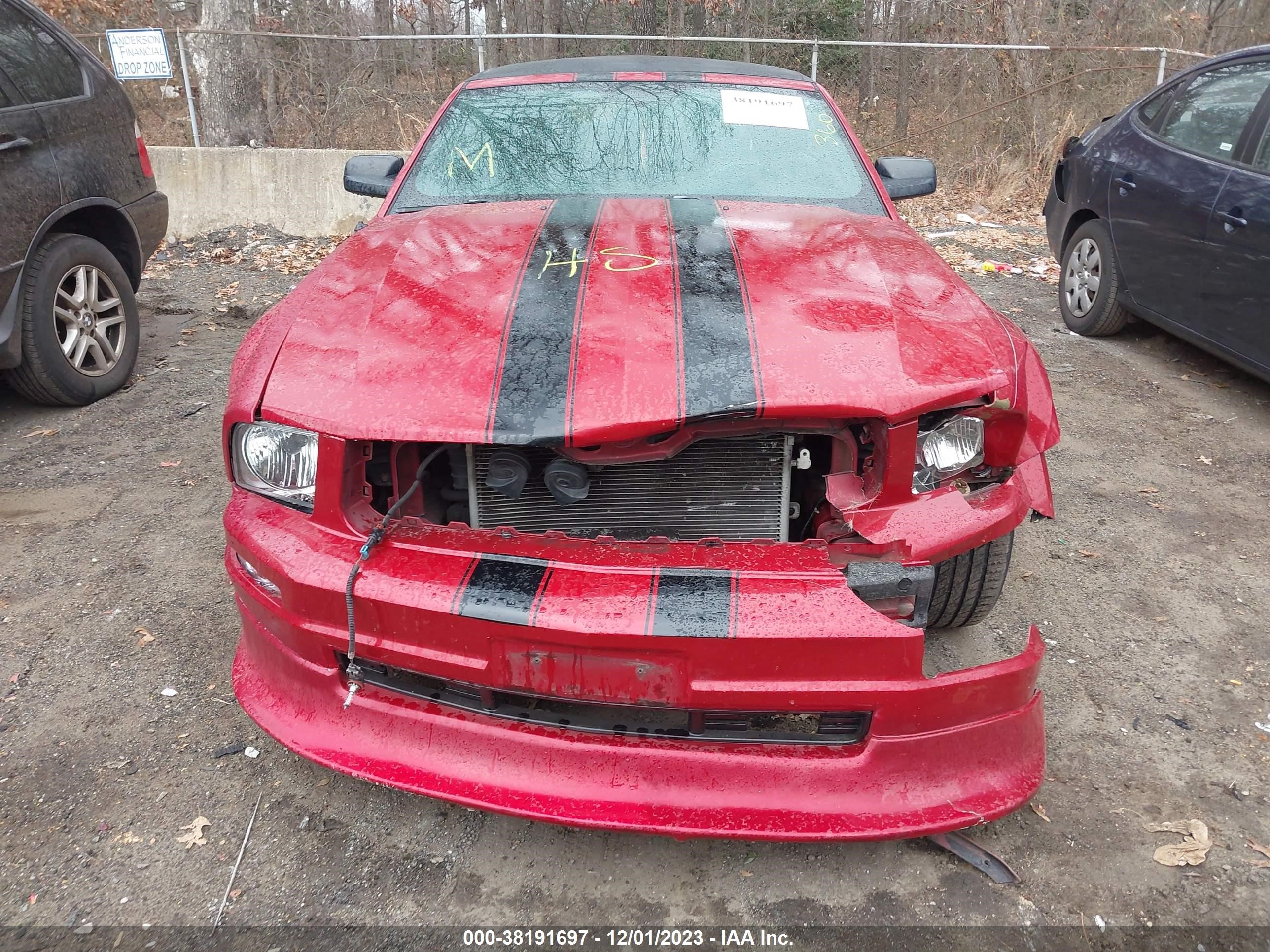 Photo 11 VIN: 1ZVHT84N985118929 - FORD MUSTANG 