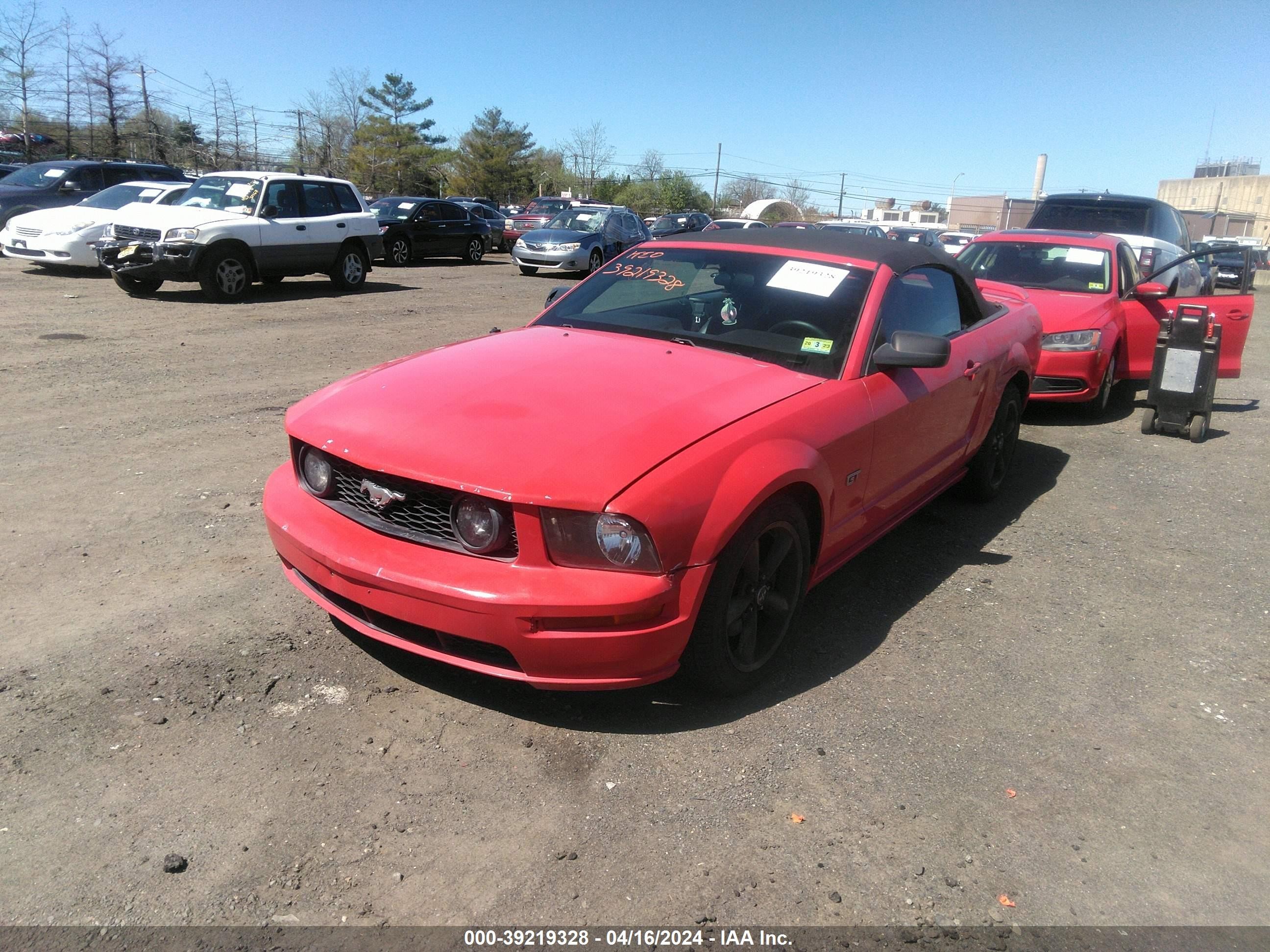 Photo 1 VIN: 1ZVHT85H165245843 - FORD MUSTANG 