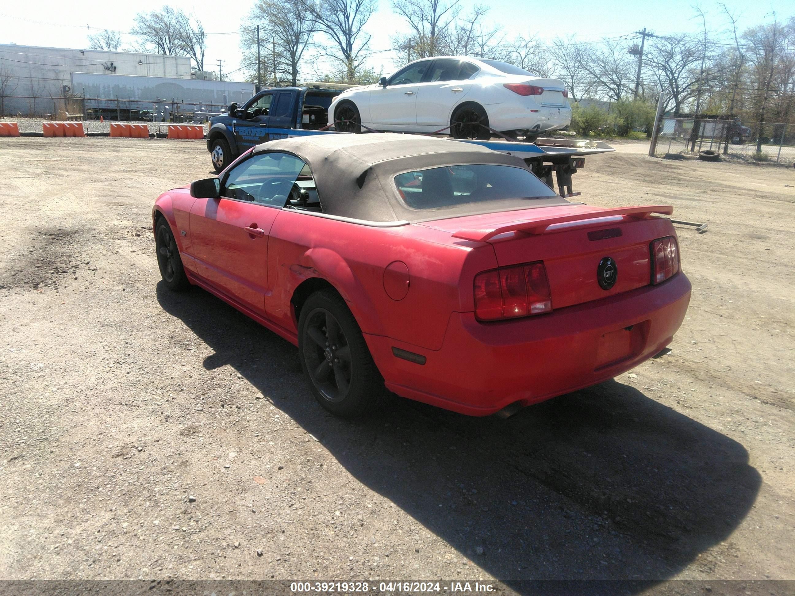 Photo 2 VIN: 1ZVHT85H165245843 - FORD MUSTANG 