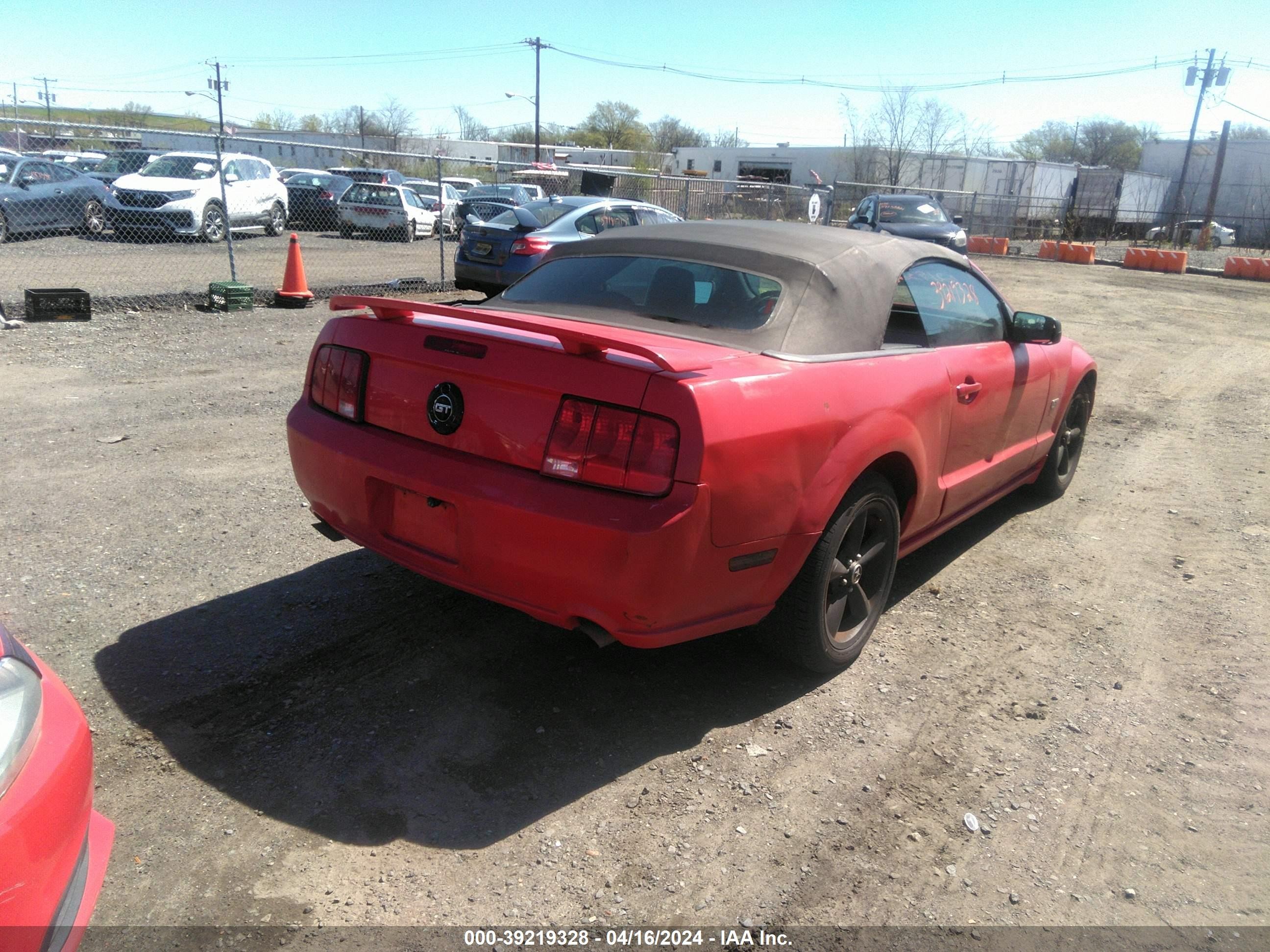 Photo 3 VIN: 1ZVHT85H165245843 - FORD MUSTANG 