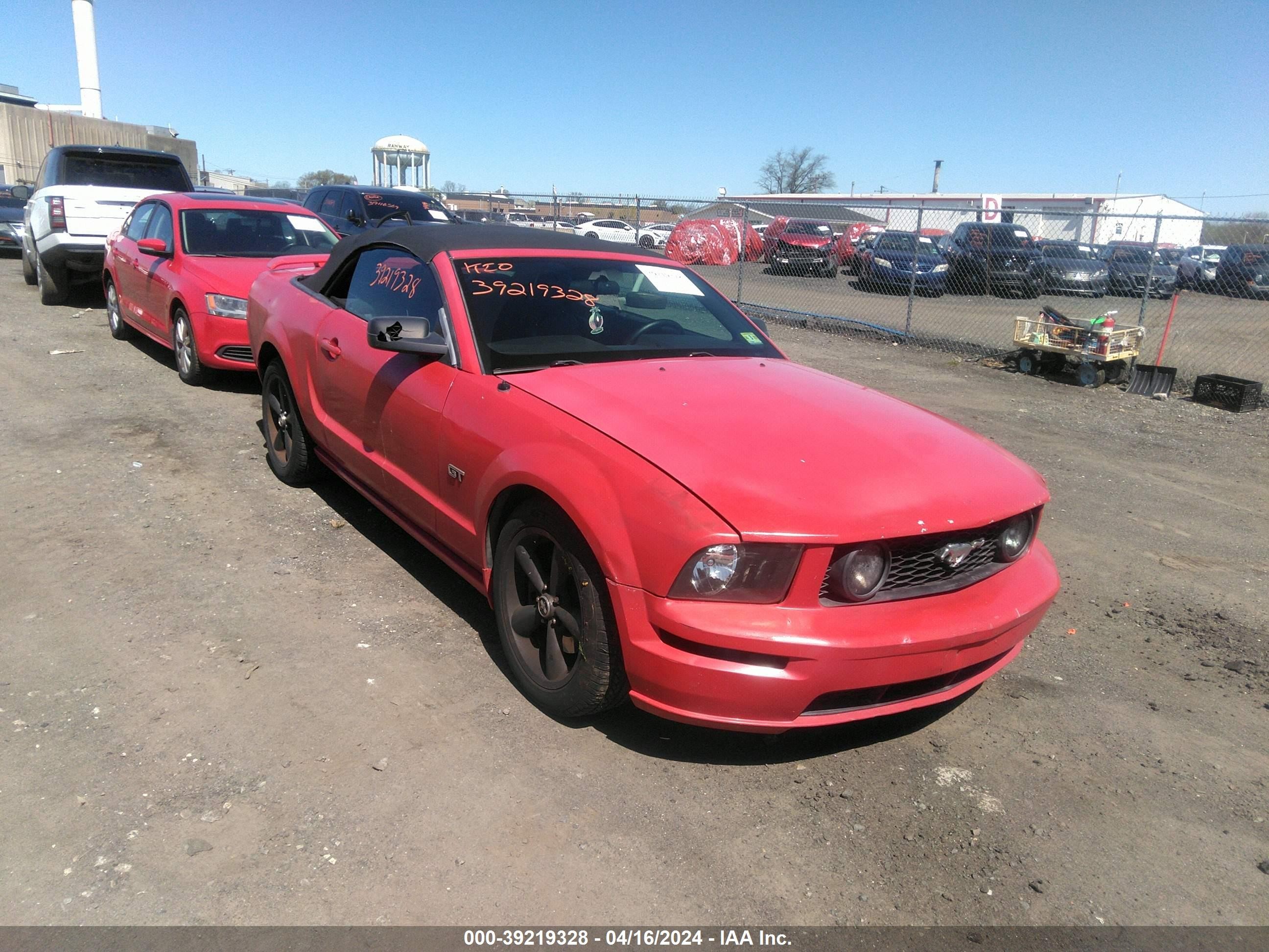 Photo 5 VIN: 1ZVHT85H165245843 - FORD MUSTANG 