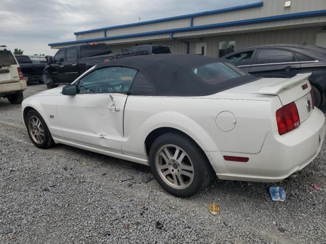 Photo 1 VIN: 1ZVHT85H255181407 - FORD MUSTANG 