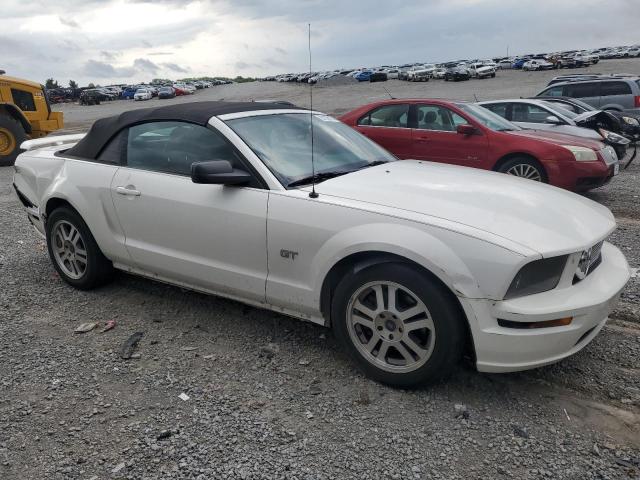 Photo 3 VIN: 1ZVHT85H255181407 - FORD MUSTANG 