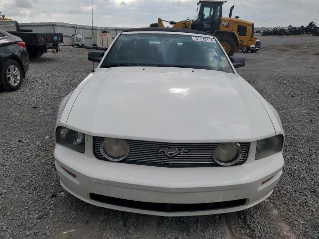 Photo 4 VIN: 1ZVHT85H255181407 - FORD MUSTANG 