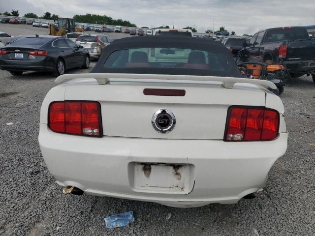 Photo 5 VIN: 1ZVHT85H255181407 - FORD MUSTANG 