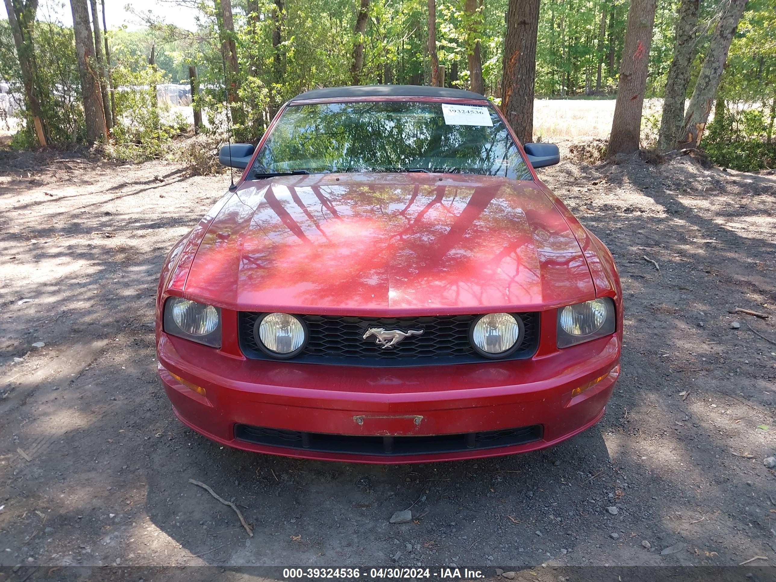 Photo 5 VIN: 1ZVHT85H265165306 - FORD MUSTANG 