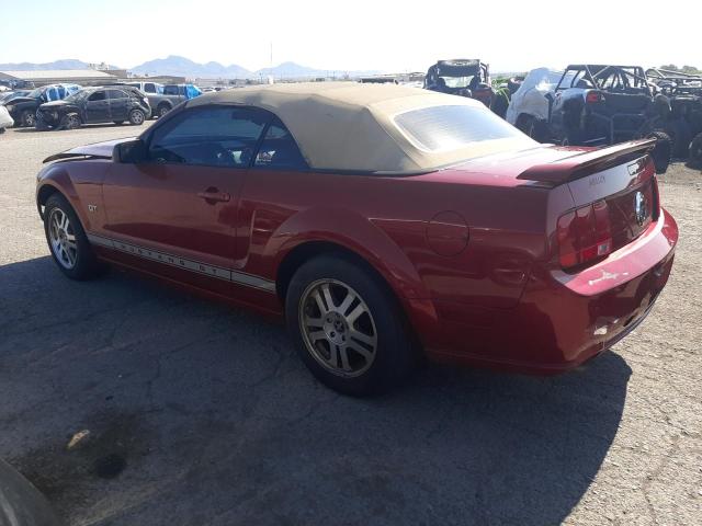 Photo 1 VIN: 1ZVHT85H565234263 - FORD MUSTANG GT 