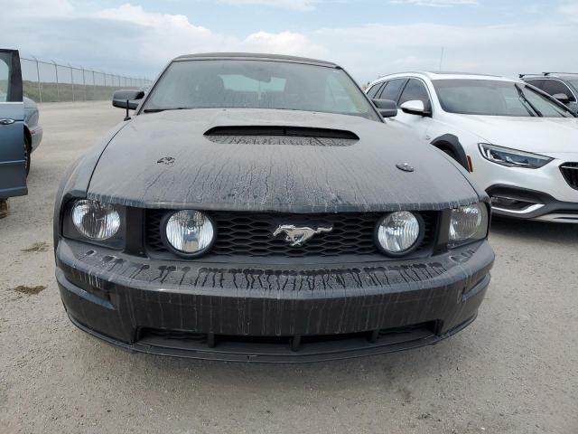 Photo 4 VIN: 1ZVHT85H565254206 - FORD MUSTANG GT 