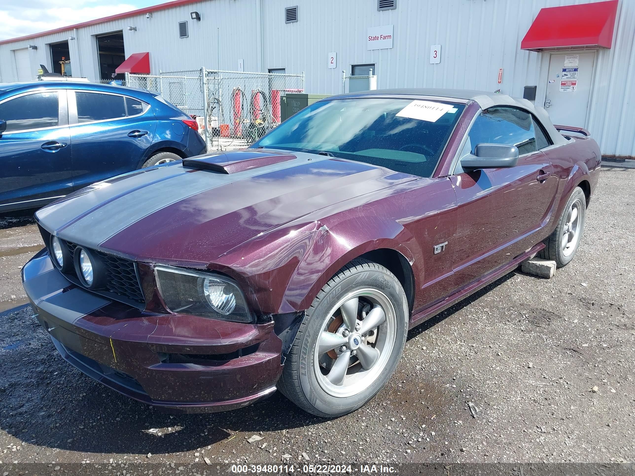 Photo 1 VIN: 1ZVHT85H655166926 - FORD MUSTANG 