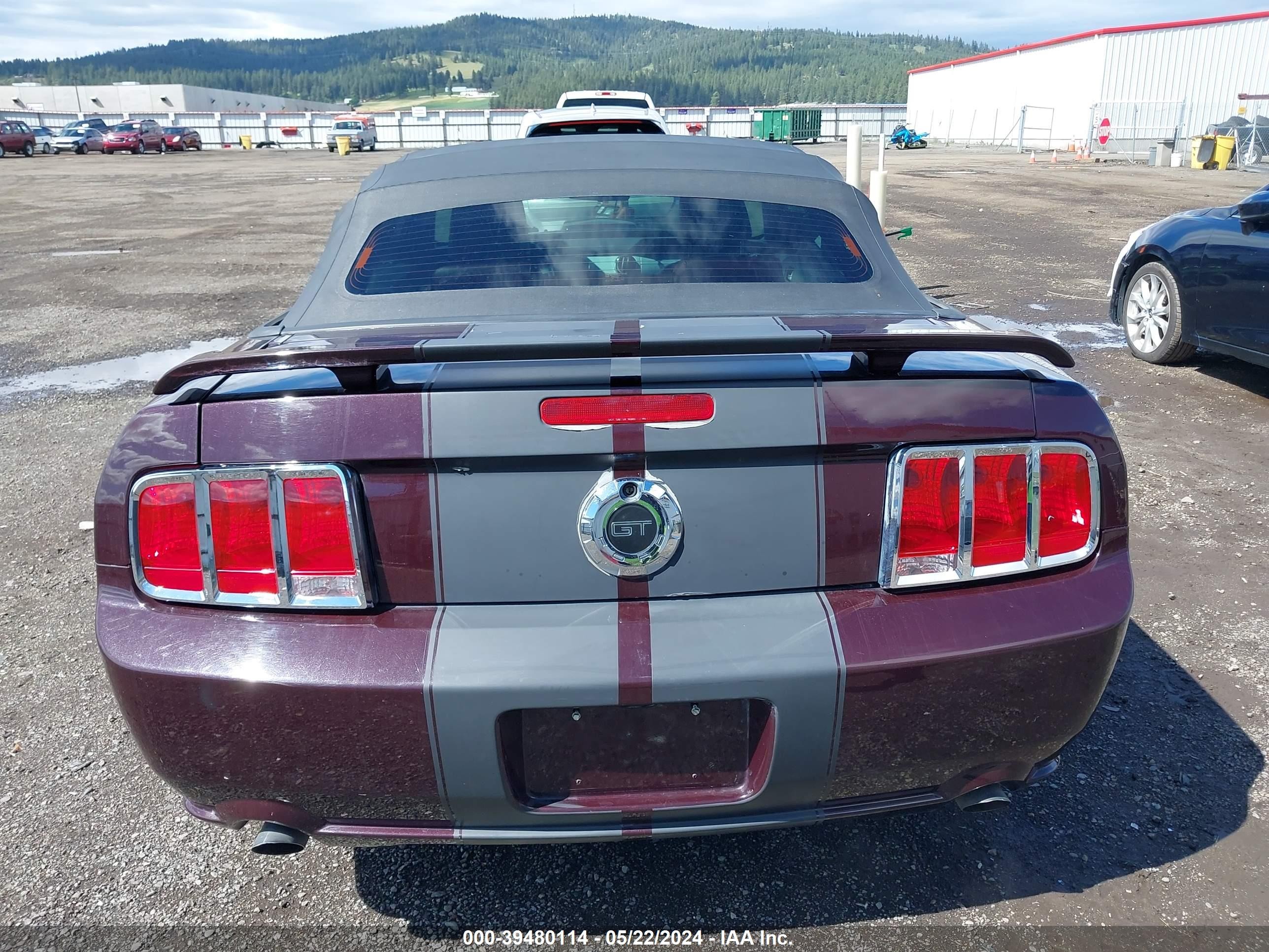 Photo 15 VIN: 1ZVHT85H655166926 - FORD MUSTANG 