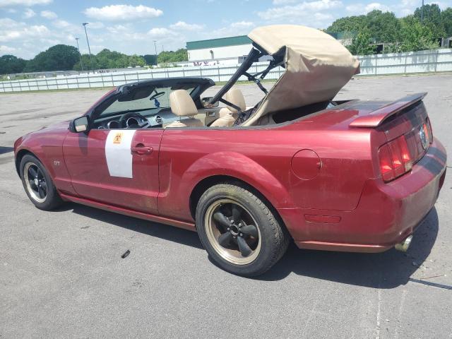 Photo 1 VIN: 1ZVHT85H665172145 - FORD MUSTANG 