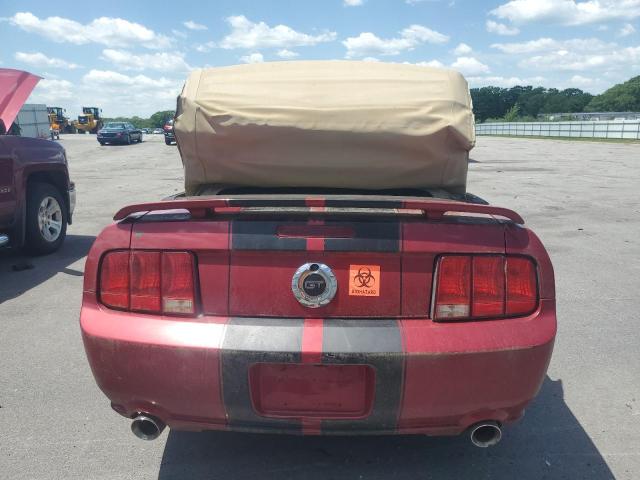 Photo 5 VIN: 1ZVHT85H665172145 - FORD MUSTANG 