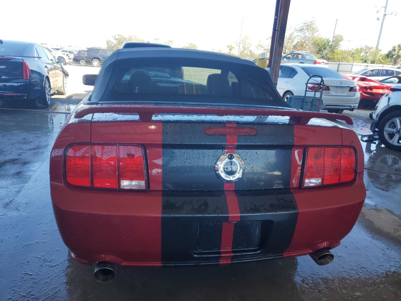 Photo 5 VIN: 1ZVHT85H985136503 - FORD MUSTANG 